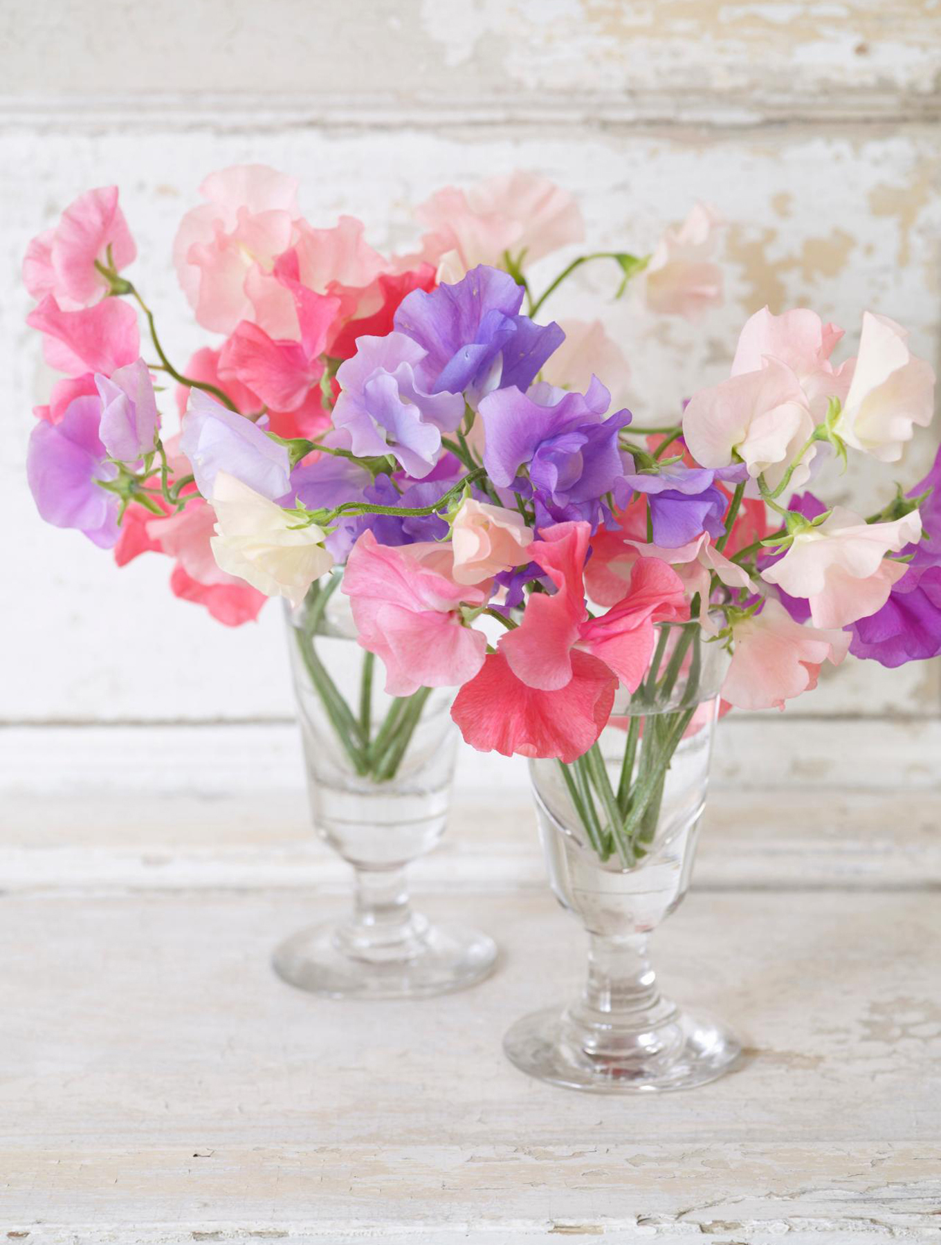 01_HGTV.com